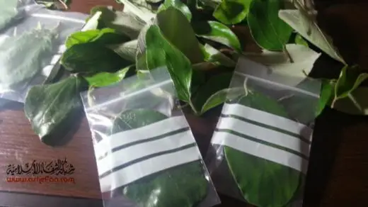 sider 4 https://muftialamin.com